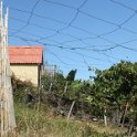 img_9360