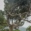 img_9824