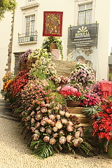 festival ve Funchalu