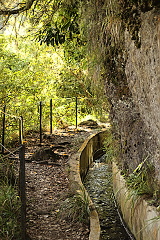 leváda do Furado