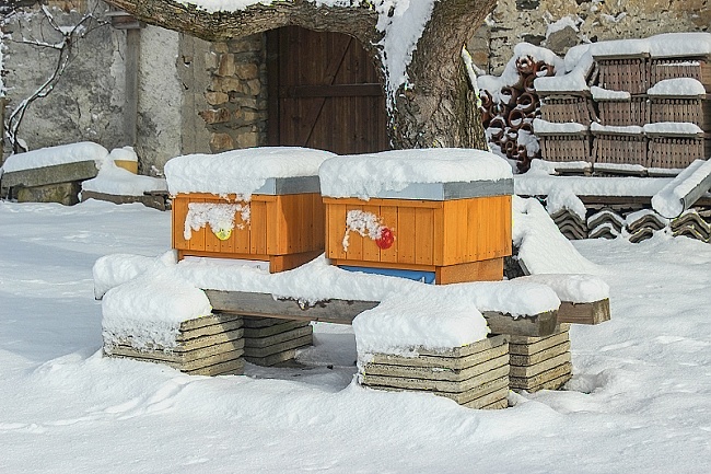 zima na malé včelnici za stodolou