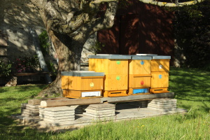 rozšíření stanoviště